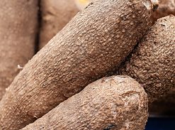 Yam