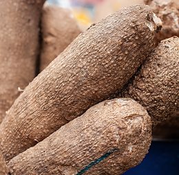 Yam