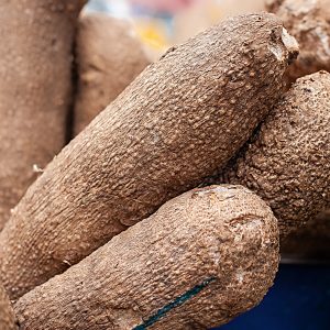 Yam
