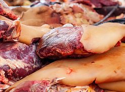 Cow Leg