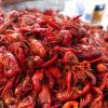 Cray Fish