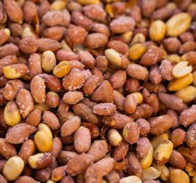 Peanut