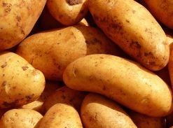 Sweet Potatoes