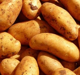 Sweet Potatoes